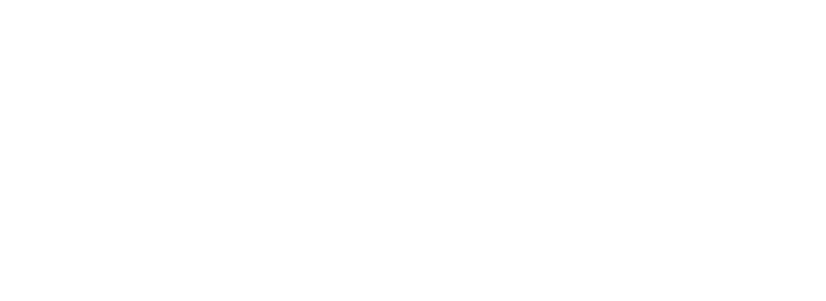 Norte Beneficios Logo