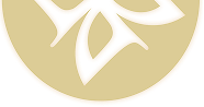 medio logo