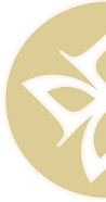 medio logo
